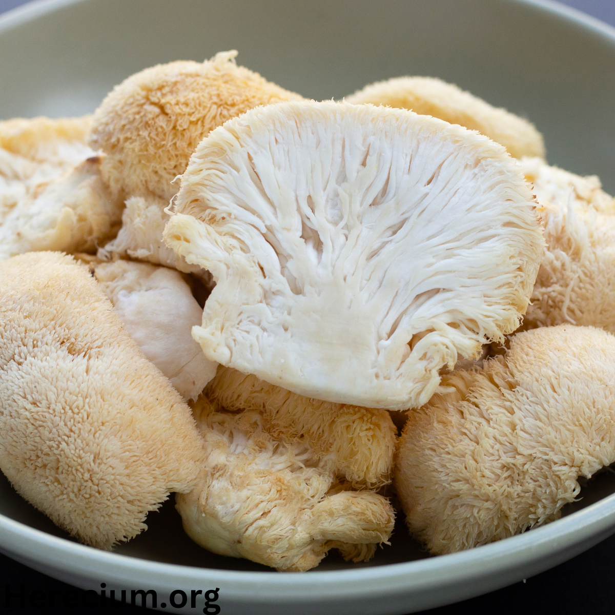 Hericium erinaceous Recipes